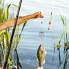 Stainless steel fishing bait basket, large size, basket type, opening/closing