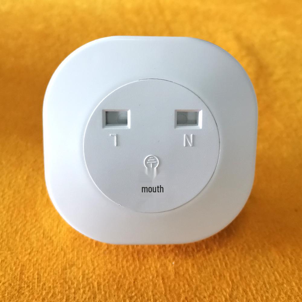 Smart WiFi Socket: Brazil, Italy, Switzerland, Australia, Israel, India Standards Compatible