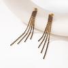 European and American style fringed long earrings, earrings, light luxury earrings for women