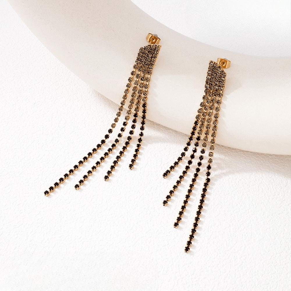 European and American style fringed long earrings, earrings, light luxury earrings for women