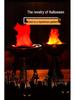 LED Flame Light for Halloween Decor & Party Ambience