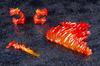 Tsuya Rockman X Rising Fire Total length 135mm scale plastic model KP537 Ver. approx. 1/12