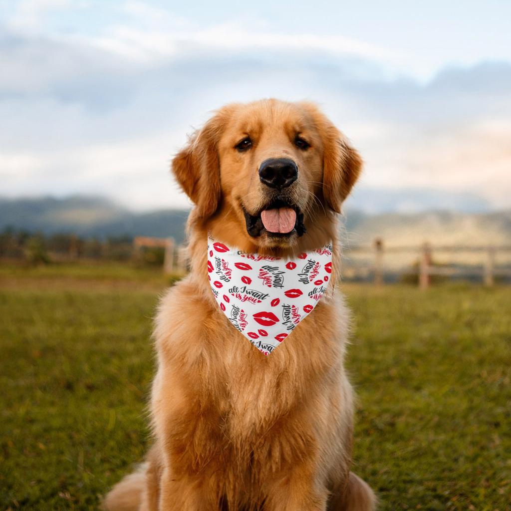 Valentine's Day Pet Clothing Love Pet Water Scarf Dog  Scarf Pet Accessories Dog Scarf