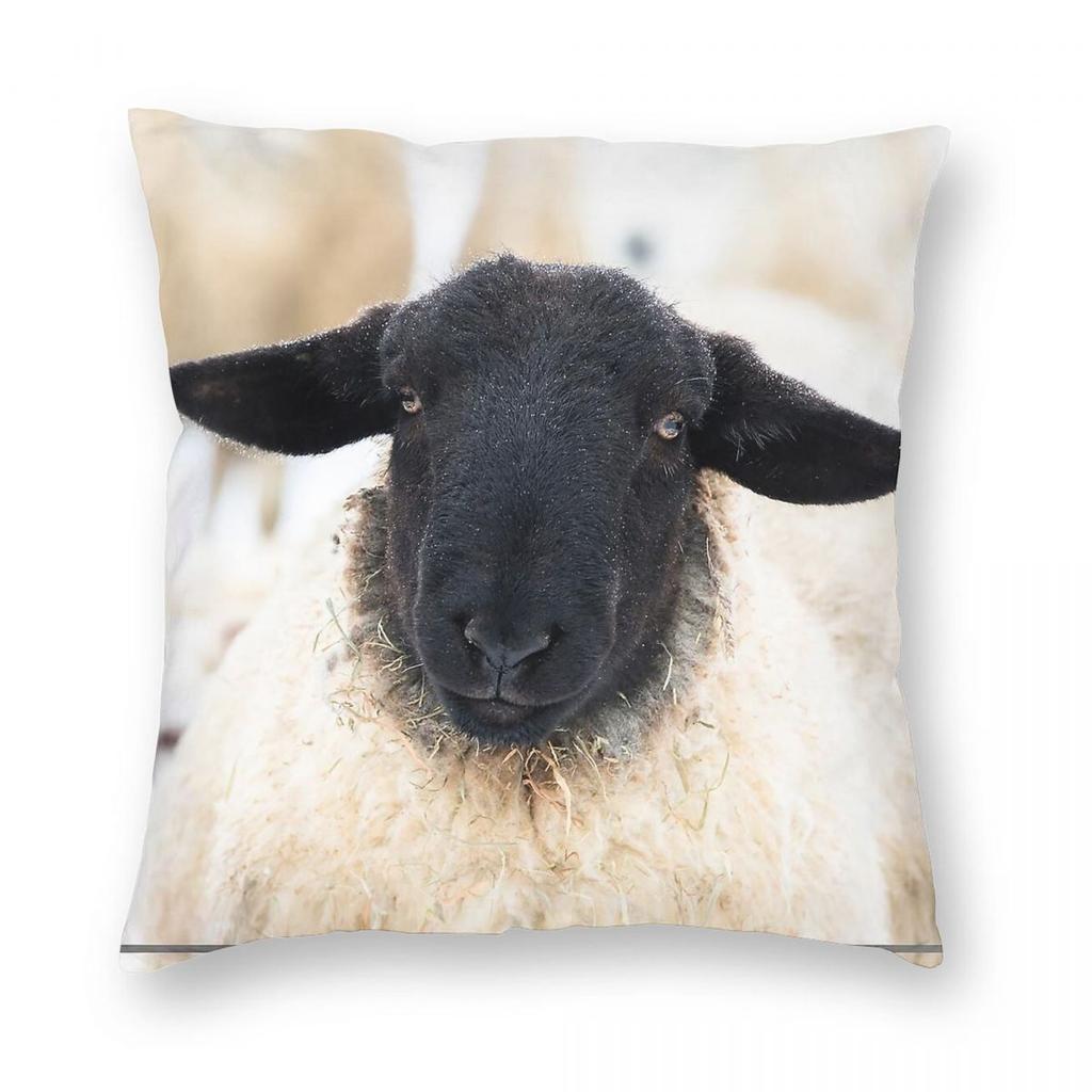 Suffolk Sheep Portrait Pillowcase Polyester Linen Velvet Creative Zip Decorative Pillow Case Home Cushion Cover X