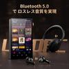 160GB Spotify-compatible player, Hi-Res MP3 player, DSD512 audio player, HIFI, Bluetooth 5.0, WiFi compatible, 4.4mm balanced jack, dual ESS DAC, 4.02