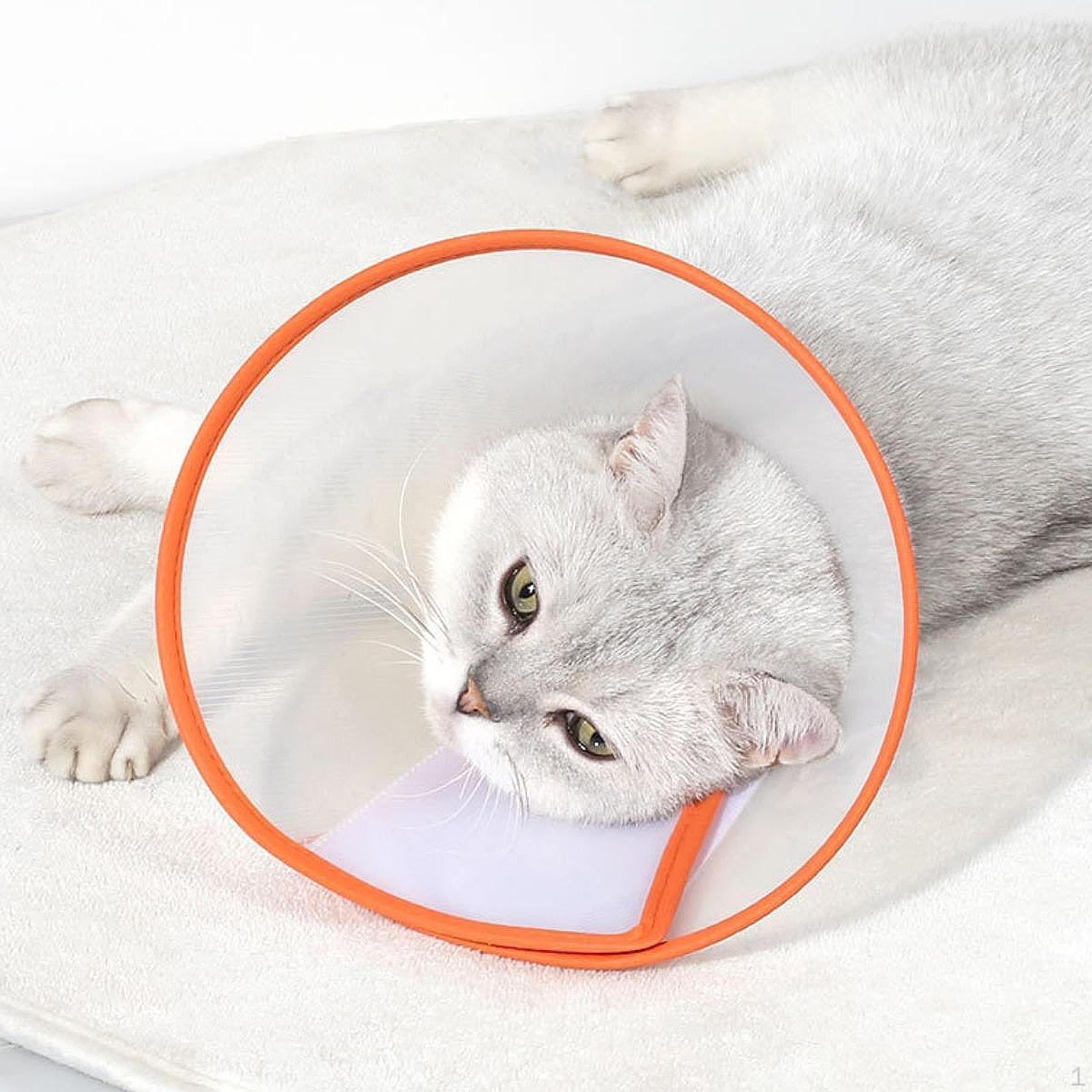 

Dog Cone Collar Comfortable with Soft Edge Protective Adjustable Neck