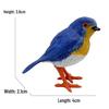 Eurasian Red-breasted Robin Small Bird Model - Children's Toy Ornament