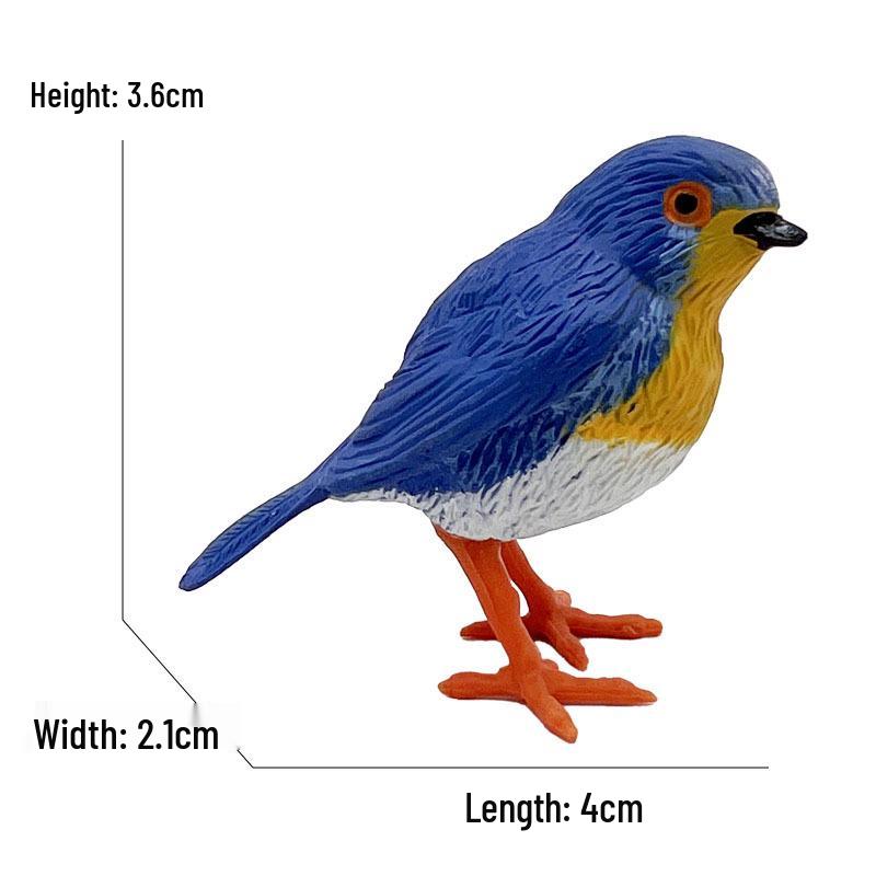 Eurasian Red-breasted Robin Small Bird Model - Children s Toy Ornament
