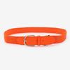 Outdoor Sports Adult Baseball Belt, Student Elastic Elastic Belt, Simple and Versatile Colorful Belt