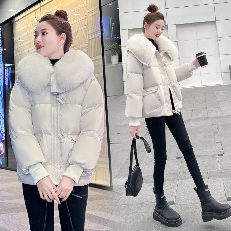 Loose cotton clothes winter clothes 2025 fashion big fur collar new cotton clothes women's autumn and winter padded jackets foreign short jackets