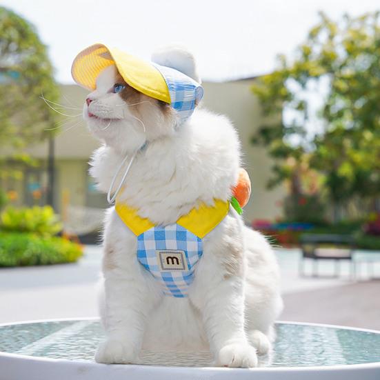 Puppy Summer 3 Piece Outfit Set Adjustable Pet Sun Hat Harness And Leash Set with Cartoon Plush Decor for Cats And Small Medium Dogs