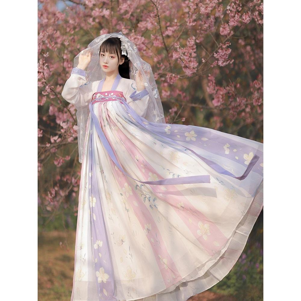 Chinese Tang Dynasty Style Hanfu Embroidery Daily Suit For Women