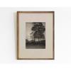 Dark Moody Botanical Landscape Vintage Victorian Still Life Poster Canvas Painting Wall Art Pictures for Living Room Home Decor