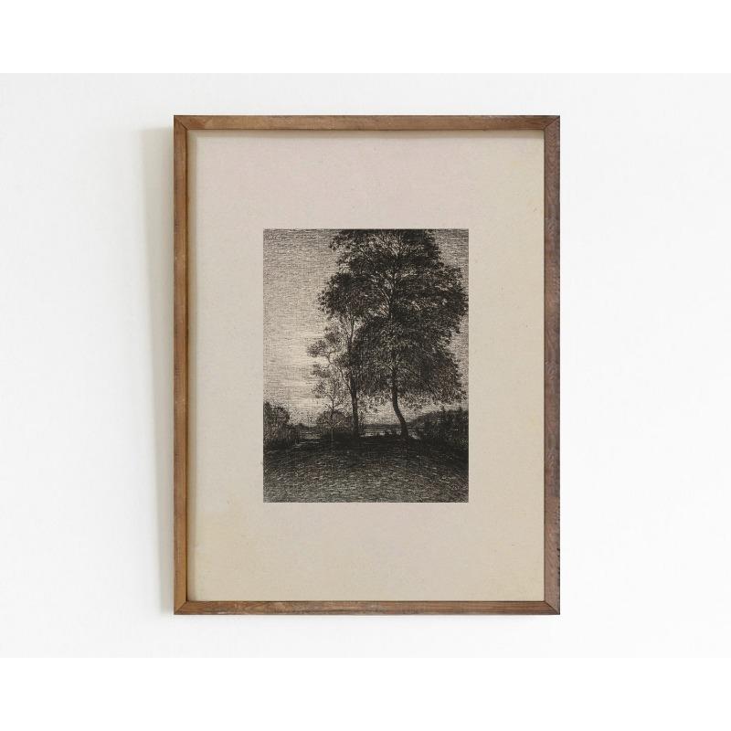 Dark Moody Botanical Landscape Vintage Victorian Still Life Poster Canvas Painting Wall Art Pictures for Living Room Home Decor