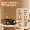 Retro Bluetooth Speaker Vinyl Player Style Radio, Portable FM/AM/SW & Wireless Streaming, Unique Vintage Decor for Home & Gift Idea