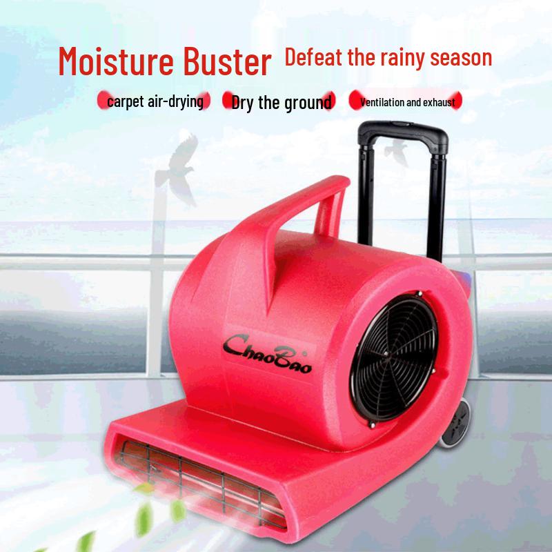 Commercial Floor Dryer Blower