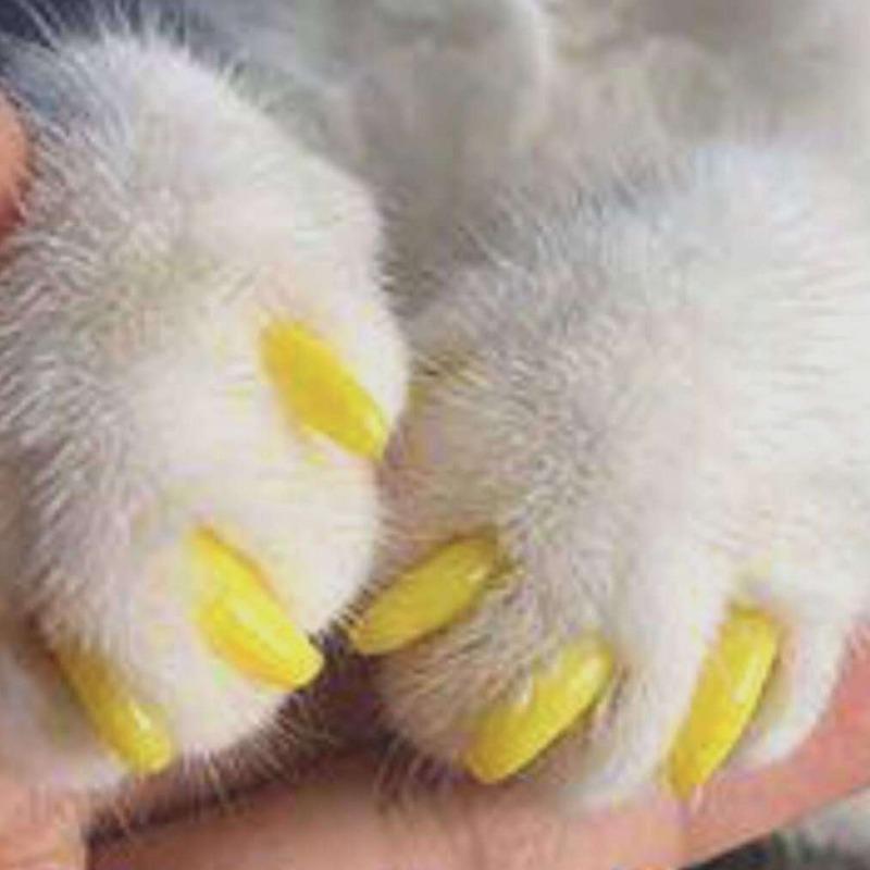 

Товары для питомцев Питомец Колпачки для ногтей питомца для собак кошек Силиконовые накладки на пальцы и когти от царапин Декоративный набор 4pcs жёлтый