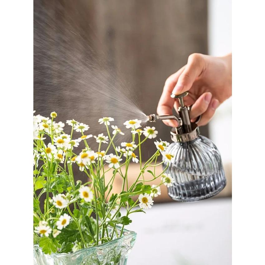 Glass Embossed Air Pressure Gardening Small Watering Can Disinfection Watering Bottle Household Glass Spray Bottle