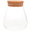 Small Glass Jars Empty Glass Bottle for DIY Micro-Landscape Use 3Pcs Set