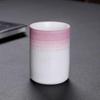 Shangqi Japanese Retro Ceramic Espresso & Tea Cup Set