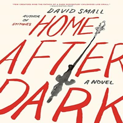 Home After Dark by David Small Paperback Book 9781631496271