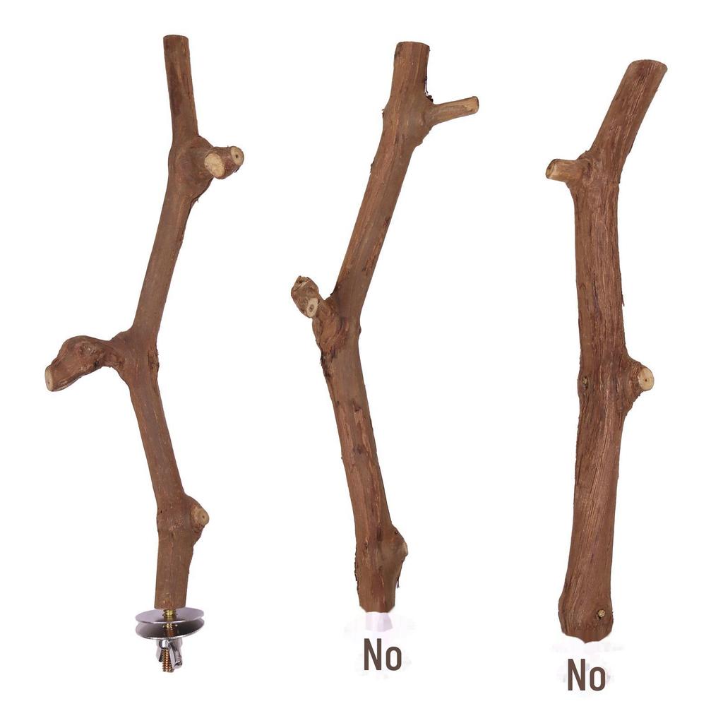 Parrot Wood Stand Stick: Bird Perch with Pepper for Claw Grinding and Climbing.