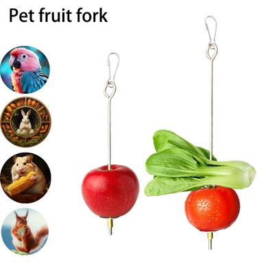 Fourchette à fruits en acier inoxydable pour perroquet, jouet pour cage à oiseaux, mangeoire à fruits, accessoires pour perroquets, fournitures pour oiseaux