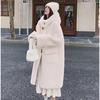 Winter Lammfellmantel für Damen mit Kapuze Lange Jacke aus Kunstfell Warm Verdickt Plüsch Oberbekleidung Süßer Stil