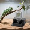 Automatic Reptile Water Feeder Drinking Tool Creative, Container, Reusable Feeding Accessories