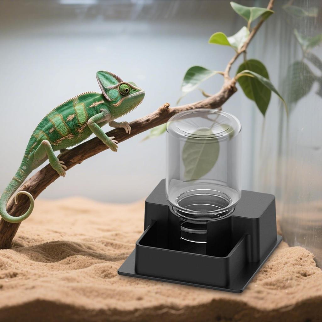 Automatic Reptile Water Dispenser, Drinking Aid, Sturdy Container, Pet Accessories,