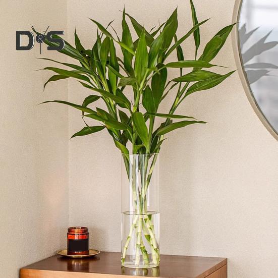 Clear Cylinder Flower Vase Wedding Party Dining Table Centerpiece Hydroponic Flower Holder Transparent Plants Container Decoration