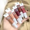 6g Lip Glaze Waterproof Daub Smoothly Nude Color Velvet Matte Lip Paste for Party