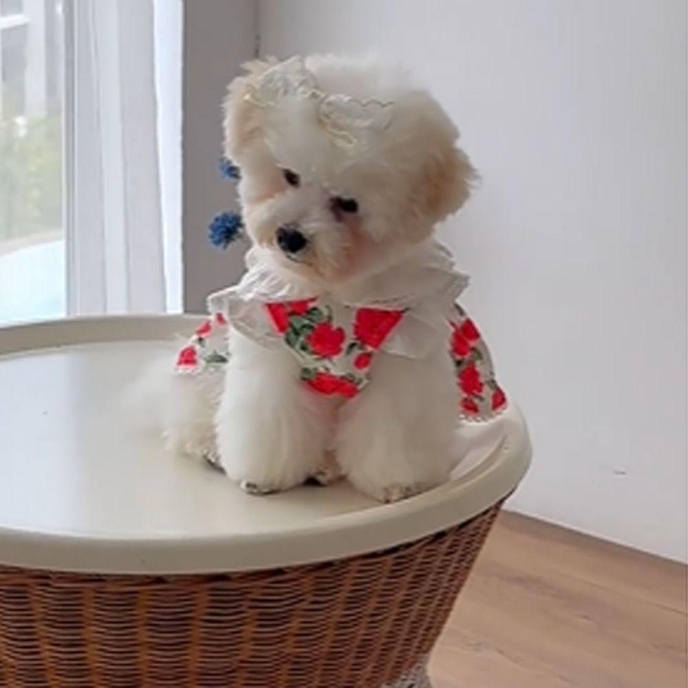 Breathable Rose Flower Dog Dress Soft Dog Vest Pet Supplies Pet Summer Clothes  Kittens