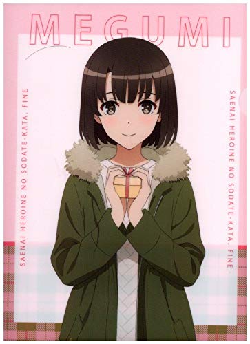 Clear File Saenai Heroine no Sodatekata Fine Valentine Original Illustration by Megumi Kato