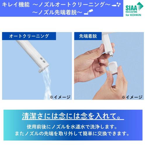 LIXIL INAX Warm Water Wash Toilet Seat Shower Toilet RT Series with Deodorizing Function Off White CW-RT20/BN8