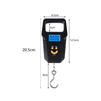 USB Charging Night Display Fishing Scale 50kg Outdoor Weighing Mens Fishing Gifts