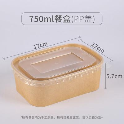Einweg-Picknick- und Bento-Box aus Papier