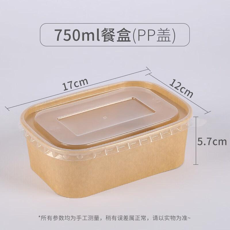 Disposable Paper Picnic & Bento Box