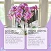 Agente di Crescita per Piante di Orchidee. Soluzione nutritiva specializzata per fiori e piante verdi. Universale per la coltivazione delle orchidee