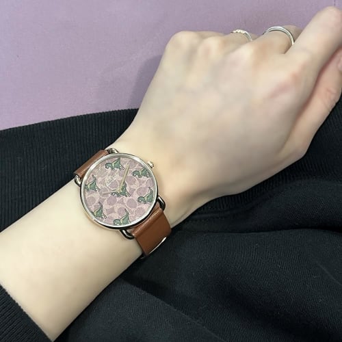 Coach Rexy Dinosaur Elliot Watch for Men and Women with Leather Strap (14504284)