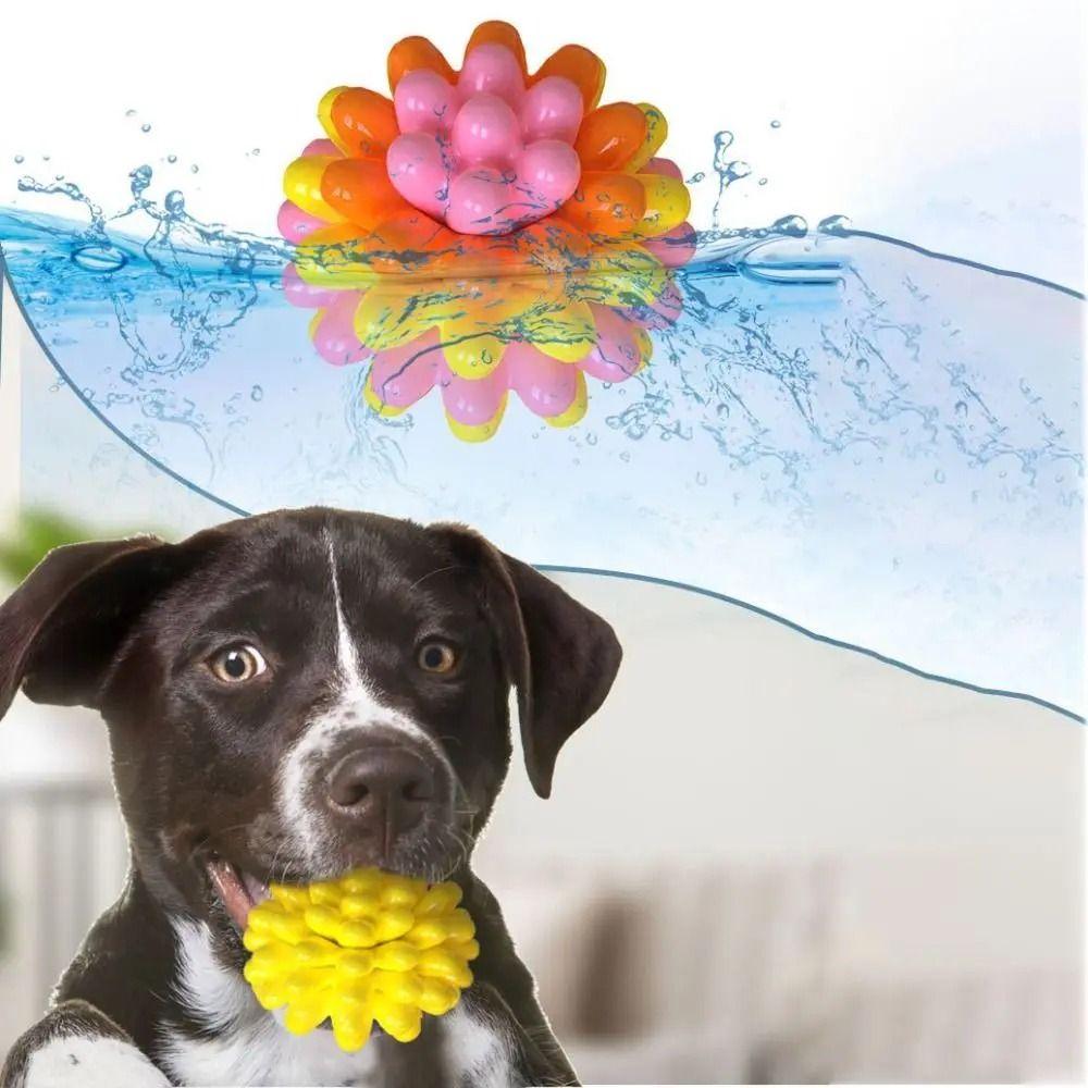 Colorful Dog Elastic Ball Toy Bite Resistant TPR Interactive Dog Toy Interactive Play