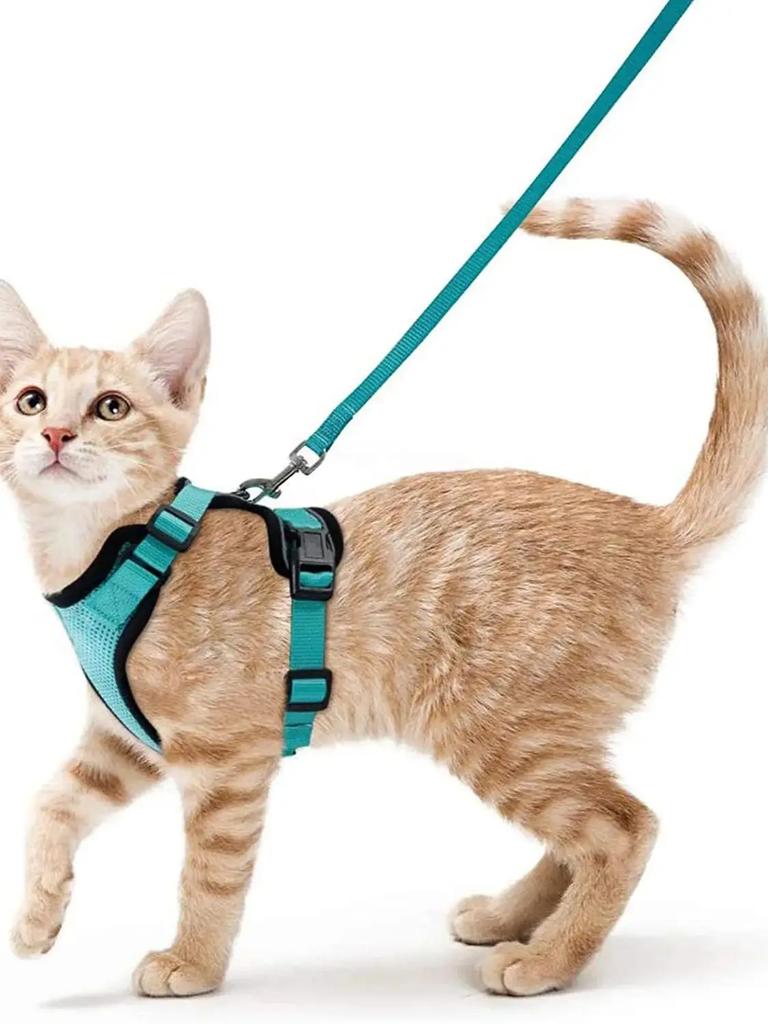 Summer Cat Dog Harness Lead Leash Adjustable Vest Polyester Mesh Breathable Harnesses Reflective for Small Dog Cat Lesah