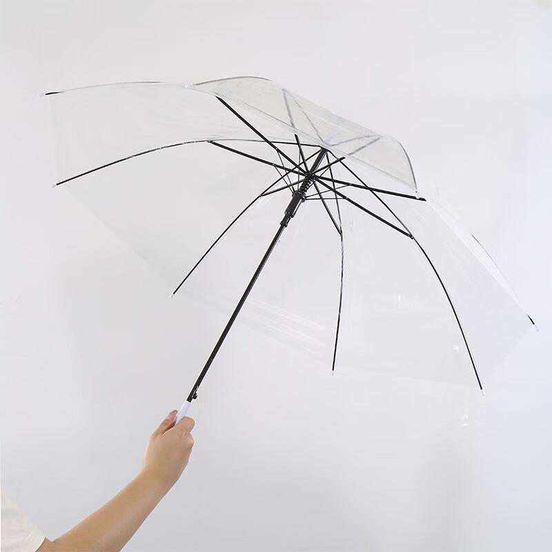 Transparent Straight Handle Umbrella (2-Pack)