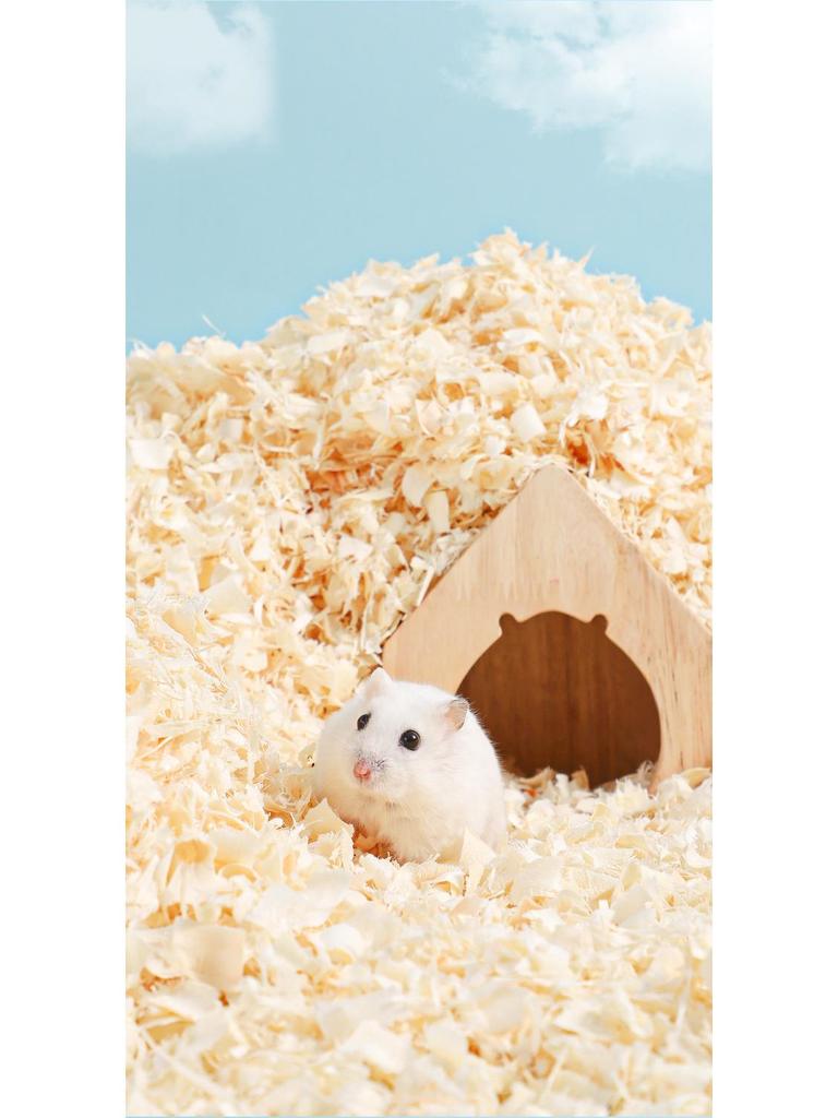 Deodorizing Aspen Wood Shavings & Cotton Bedding for Hamsters and Chinchillas - Low Dust, Cozy Winter Supplies