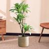 Handcrafted Planters Basket for Indoor and Outdoor Use