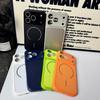Leather Grain Frosted Glass Magnetic Phone Case for Apple Pro Max 17 with Drop Protection