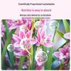 Orchid Nutrient Solution: Promotes Flower Spikes, Treats Yellow Leaves, Black Spots & Root Rot, Encourages Flowering with Special Fertilizer