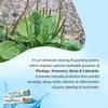 Sunny Herbals Baksodent Toothpaste Gel 100ml Pack Of 1 With Germ Control & Clove Mint Freshness