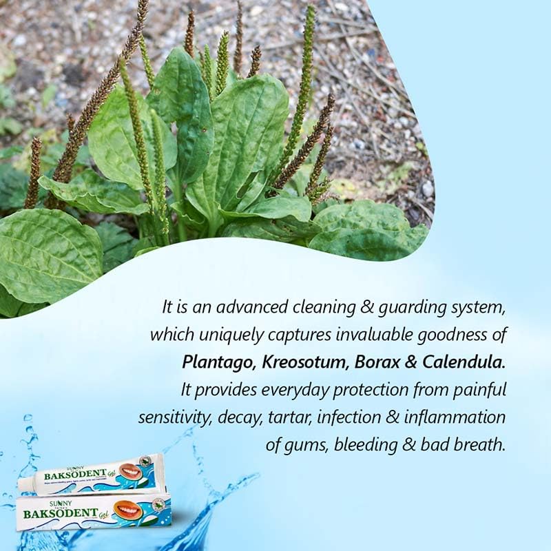 Sunny Herbals Baksodent Toothpaste Gel 100ml Pack Of 1 With Germ Control & Clove Mint Freshness