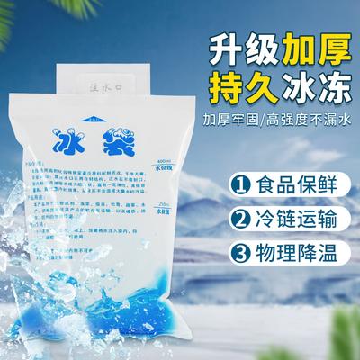 Reusable Thickened Self-Sealing PE Ice Bag for Portable Refrigeration and Transportation